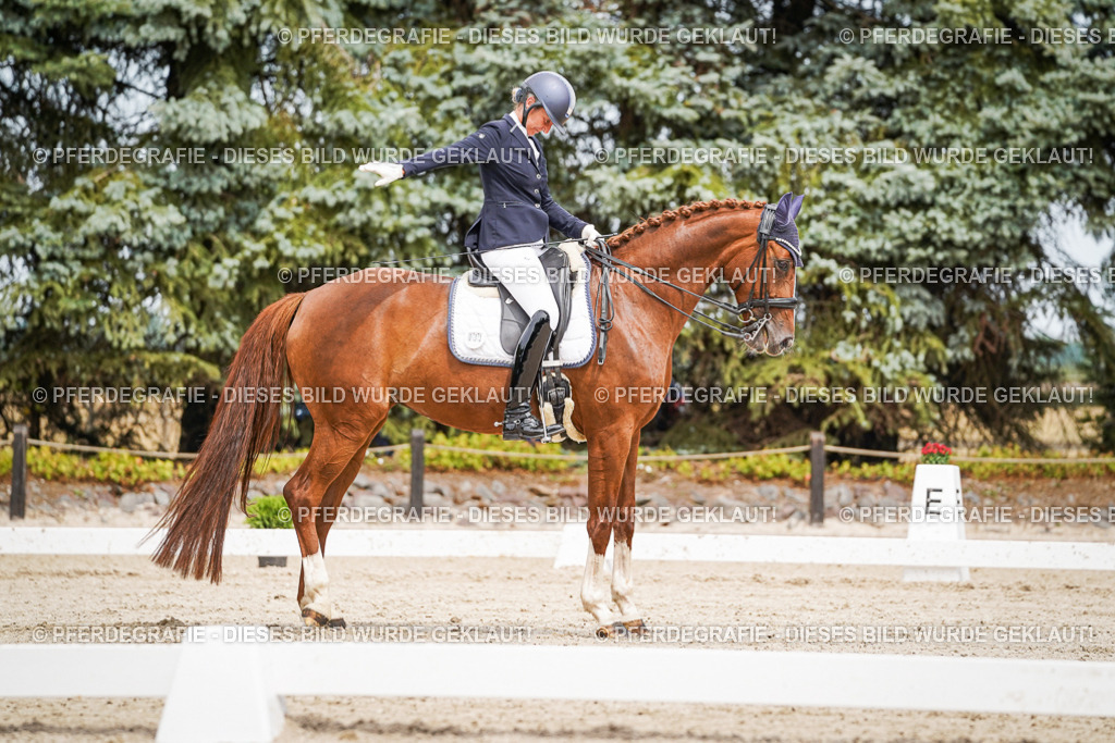 DSC05116 | Pferdegrafie