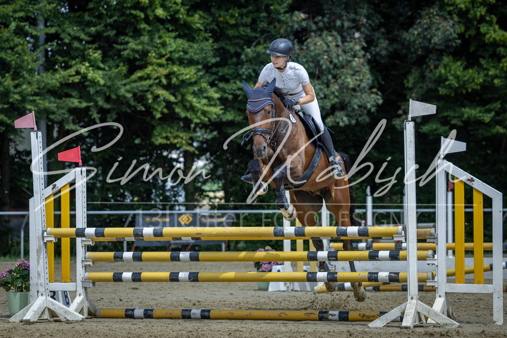 20260704-_3LI0452 | Tierfotografie Pferde, Hunde, Katzen, Haustiere.
Turnierfotografie Reitturniere, Reiten, Springreiten, Dressur in Hanau, dem Main-Kinzig-Kreis und dem Rhein-Main- Gebiet um Frankfurt
