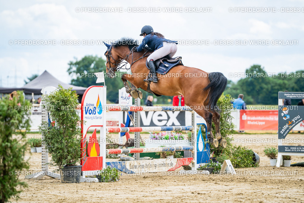 DSC06035 | Pferdegrafie