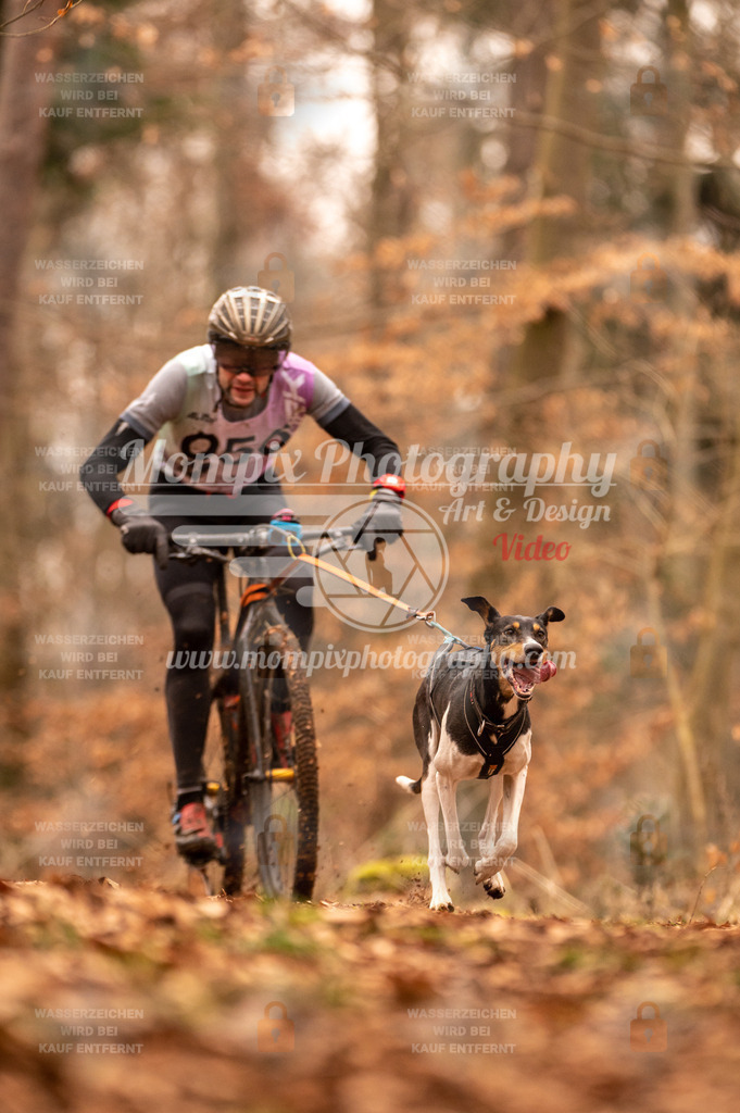 AKM_ST_2023_SAM_Bike-17 | PayLife