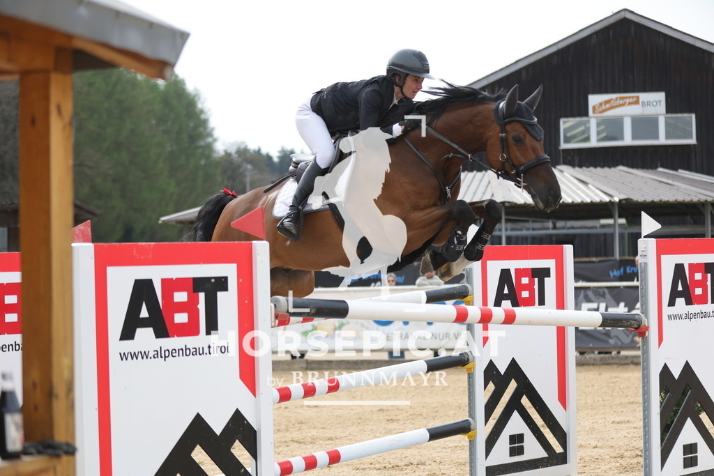 0P6A7499 | Willkommen bei Brunnmayr - Design & Fotografie – Ihrem Spezialisten für Reitturniere und Pferdeveranstaltungen in Oberösterreich, Salzburg und Bayern! Seit über 17 Jahren sind wir leidenschaftlich dabei.