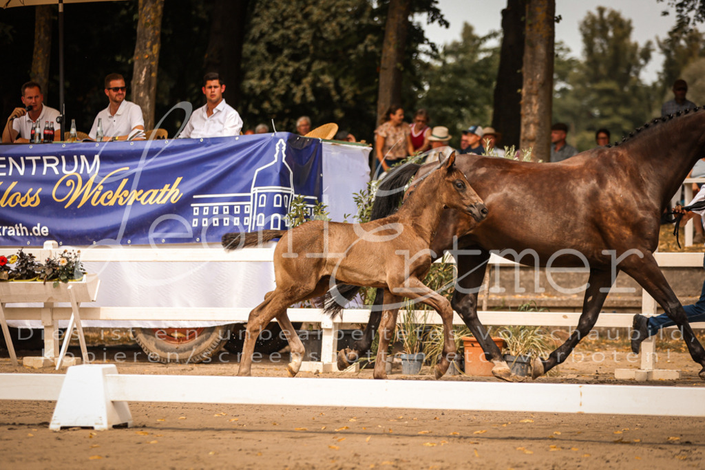 SaPA00050 | Leoni Ertmer Photography - Realisiert mit Pictrs.com