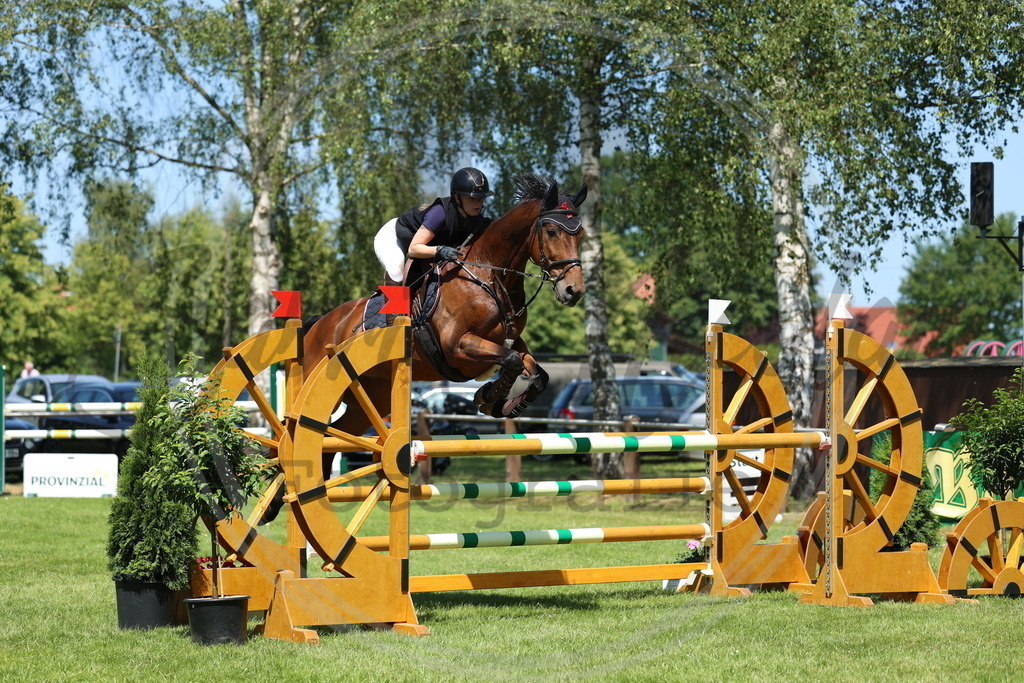 994A2789 | sabrinanicolaifotografie - Realisiert mit Pictrs.com