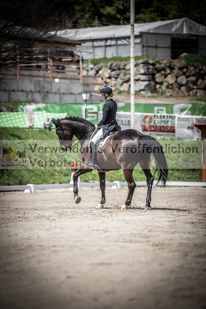 DSC_2310 | equestrian-live-com