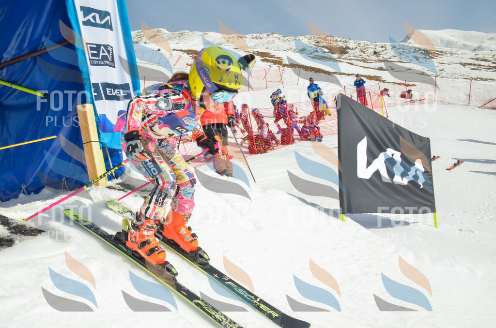 _ELE4708 | holidayphoto