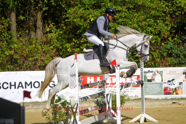 DKP42380 | Turniersportfotografie; Pferdefotografie; Dressurfotografie