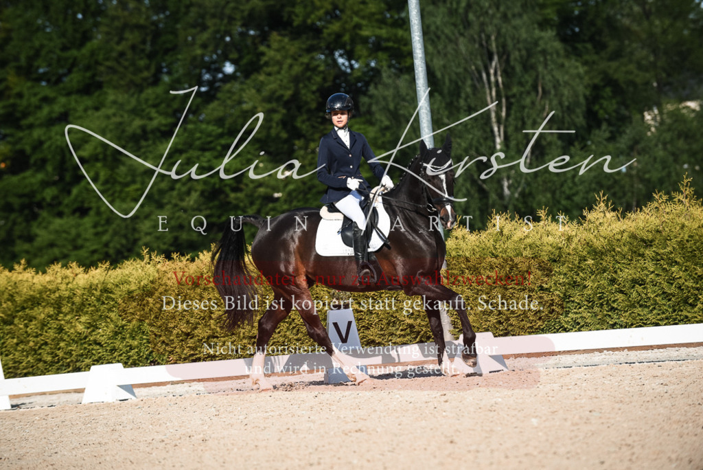 20230518_JK-Röhrsdorf-12-0861 | Pferde- und Turnierfotografie in Westsachsen. Pferdeportraits, Auftragszeichnungen und intuitive Kunst.