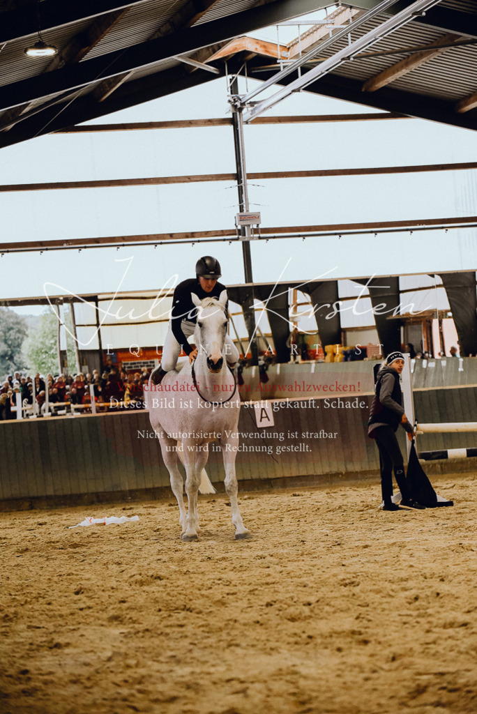 DSC_6995 | Pferde- und Turnierfotografie in Westsachsen. Pferdeportraits, Auftragszeichnungen und intuitive Kunst.