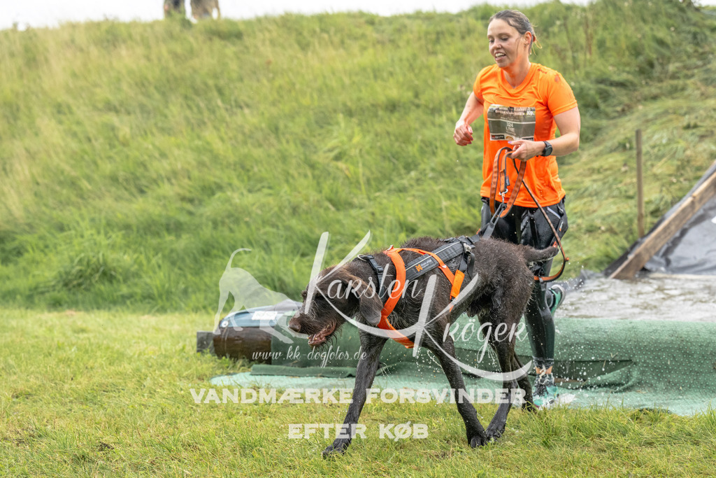 1222_ZZ94771 | kk-dogfotos