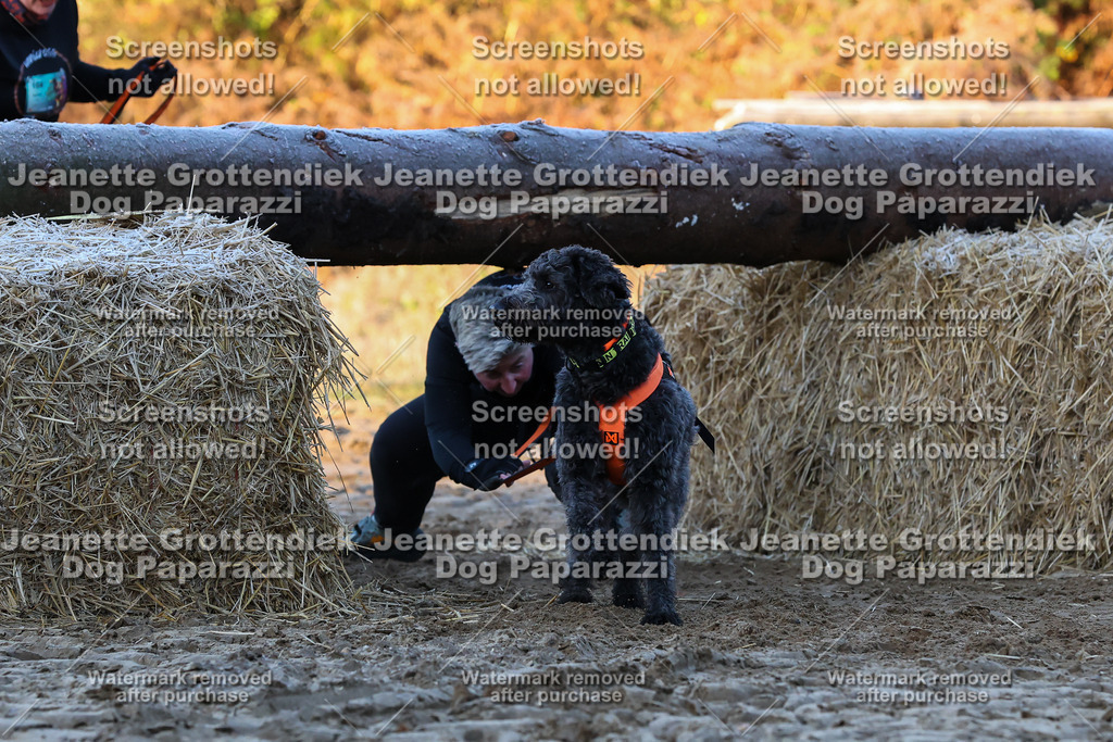 Dog Paparazzi - Strongdog 10-25-439 | Dog Paparazzi Jeanette Grottendiek Fotografie & Videografie