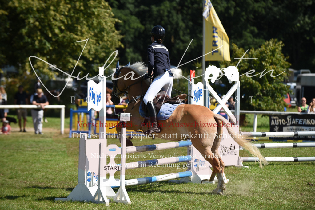 DSC_9628 | Pferde- und Turnierfotografie in Westsachsen. Pferdeportraits, Auftragszeichnungen und intuitive Kunst.