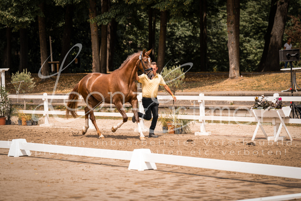 2. Fr00004 | Leoni Ertmer Photography - Realisiert mit Pictrs.com