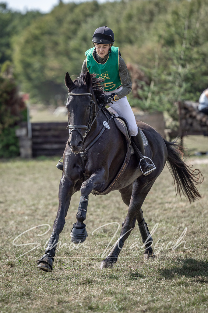 20250907-_3LI1646 | Tierfotografie Pferde, Hunde, Katzen, Haustiere.
Turnierfotografie Reitturniere, Reiten, Springreiten, Dressur in Hanau, dem Main-Kinzig-Kreis und dem Rhein-Main- Gebiet um Frankfurt