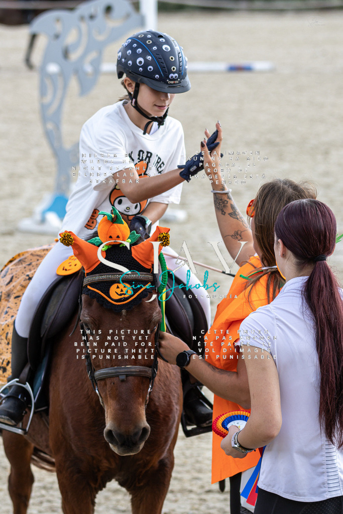 IMG_2394 | s-jay-photography - Realisiert mit Pictrs.com