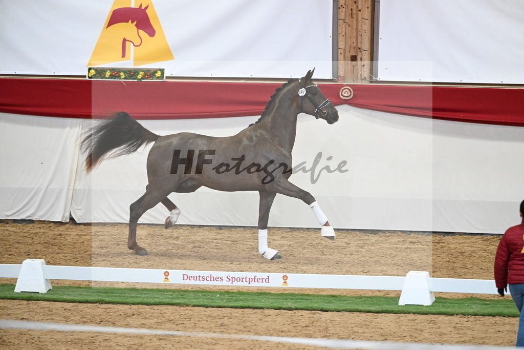Kat.-Nr. 47 v. Damontez_Pfefferle_2250108 | hf-fotografie - Realisiert mit Pictrs.com
