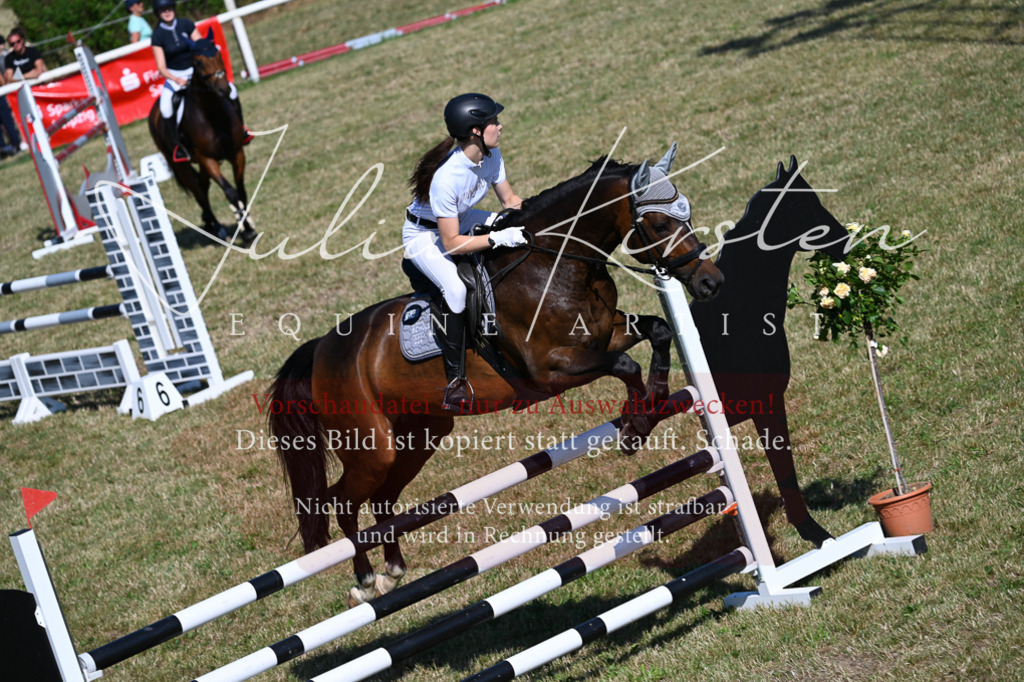 DSC_2053 | Pferde- und Turnierfotografie in Westsachsen. Pferdeportraits, Auftragszeichnungen und intuitive Kunst.