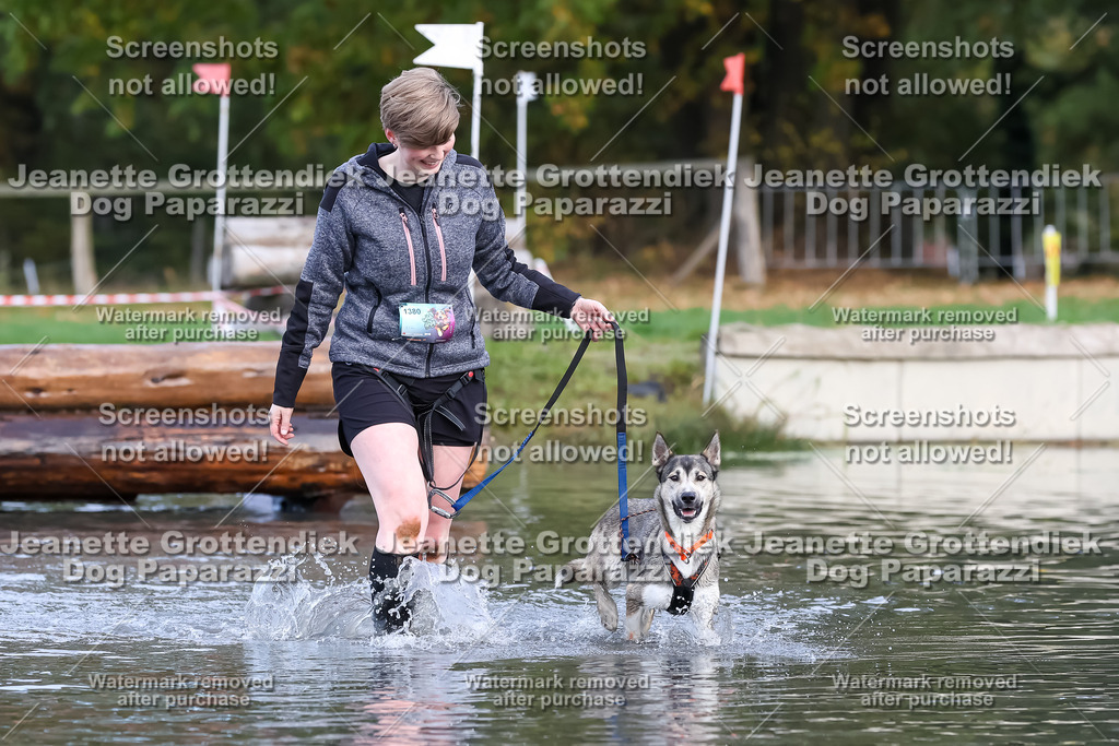 Dog Paparazzi - Strongdog 10-25-6876 | Dog Paparazzi Jeanette Grottendiek Fotografie & Videografie - Realisiert mit Pictrs.com