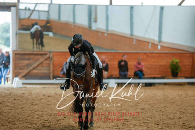 _62_6068 | Turniersportfotografie; Pferdefotografie; Dressurfotografie