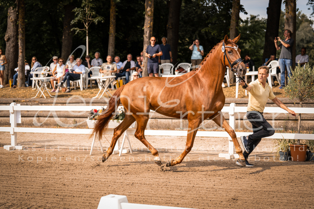 FrER00026 | Leoni Ertmer Photography - Realisiert mit Pictrs.com