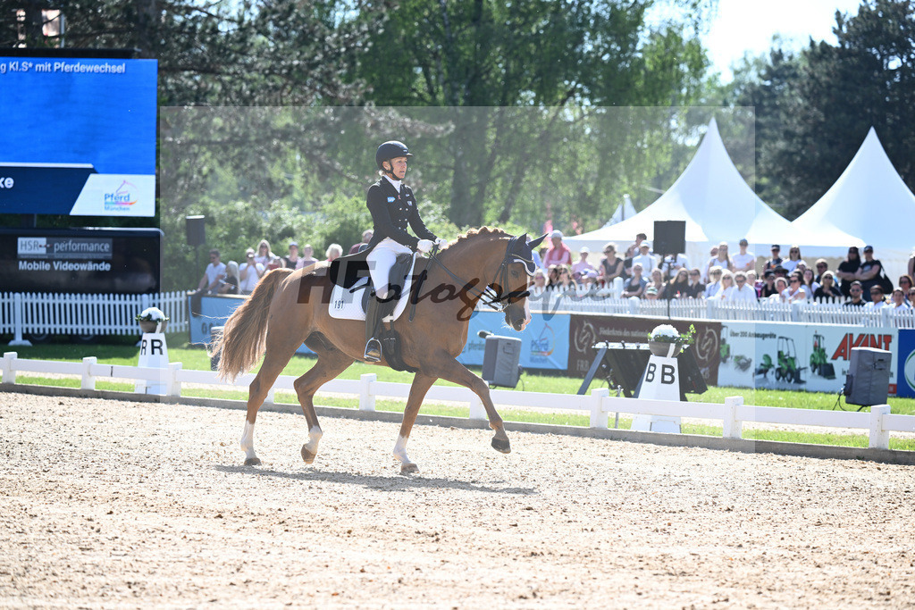 Klimke_Lion King_12244740 | hf-fotografie - Realisiert mit Pictrs.com