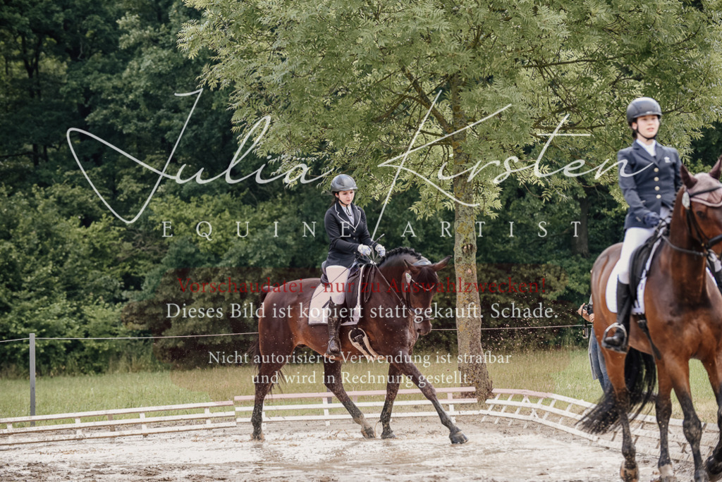 DSC_8662 | Pferde- und Turnierfotografie in Westsachsen. Pferdeportraits, Auftragszeichnungen und intuitive Kunst.