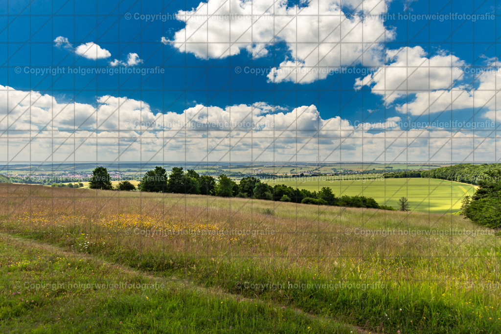 20240623120326D75_5160-Verbessert-RR | Kaufen sie online außergewöhnliche Fotografien auf Leinwand Acrylglas Fotoprint Aludibond von holgerweigeltfotografie - Realisiert mit Pictrs.com
