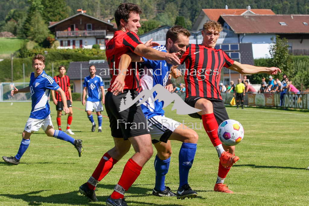 993T7480 | mitte, Armando Schreder