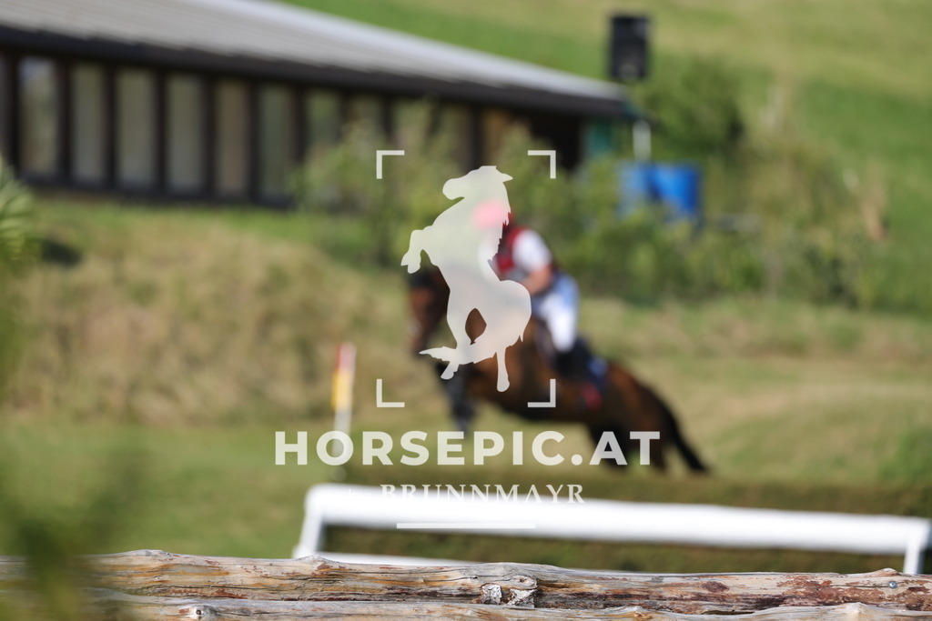 0P6A9271 | Willkommen bei Brunnmayr - Design & Fotografie – Ihrem Spezialisten für Reitturniere und Pferdeveranstaltungen in Oberösterreich, Salzburg und Bayern! Seit über 17 Jahren sind wir leidenschaftlich dabei.