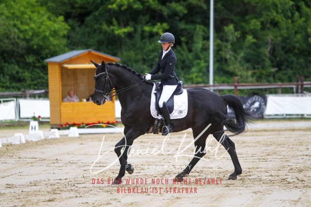 DKP47703 | Turniersportfotografie; Pferdefotografie; Dressurfotografie