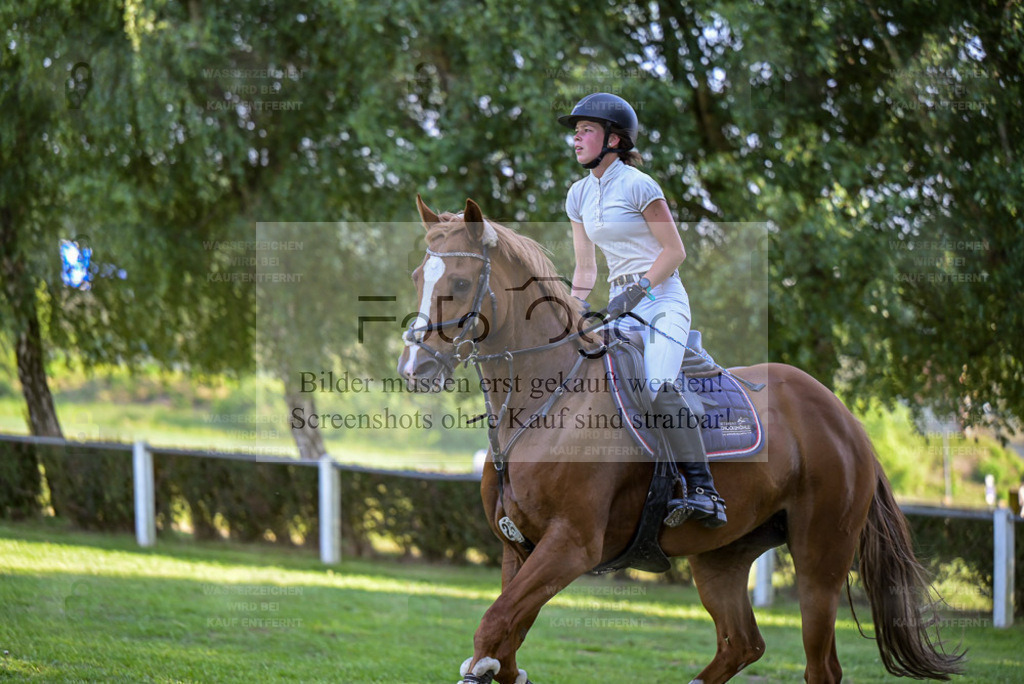 Reitturnier Voxtrup | Entdecke hochwertige Reitturnierfotos von Foto Oger. Professionell, emotional und authentisch – jetzt Lieblingsmomente im Shop bestellen. - Realisiert mit Pictrs.com