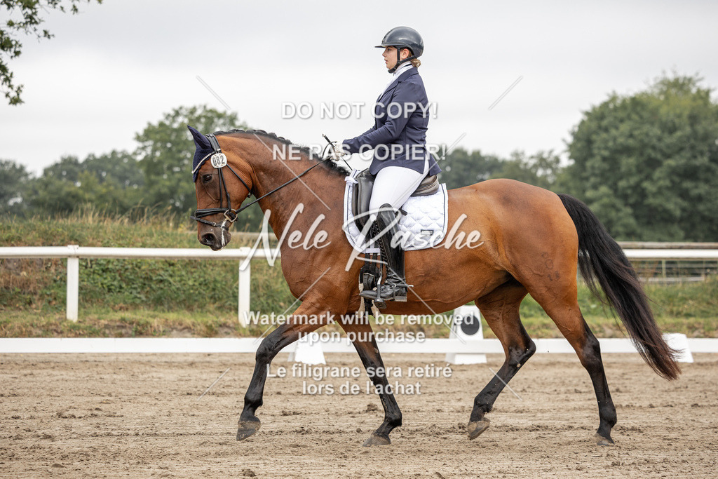 nelerasche_DrL_Ede_154 | nelerasche