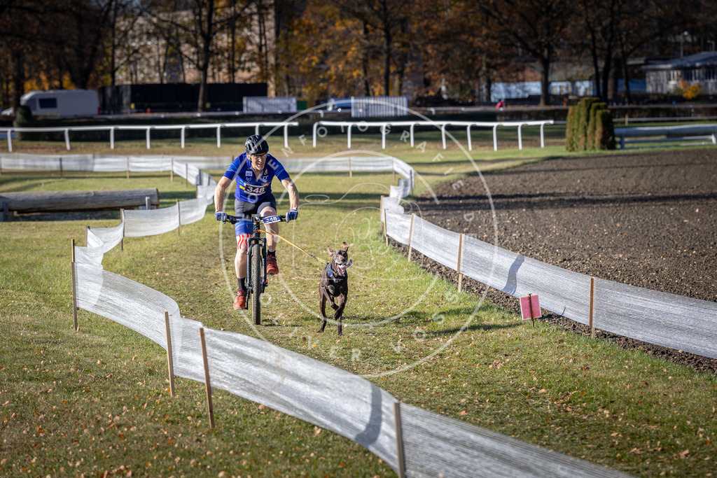 CaniXpix_DV3A7065 | Hundefotografie, Tierfotograf, Pfotenfotografie, Fotoshooting Hund, Hunde Portrait, Hundesport, Hundeportraits, Heideshooting, Hunde, Sportfotograf, Hundefotograf, Turnierhundsport, THS,  - Realisiert mit Pictrs.com