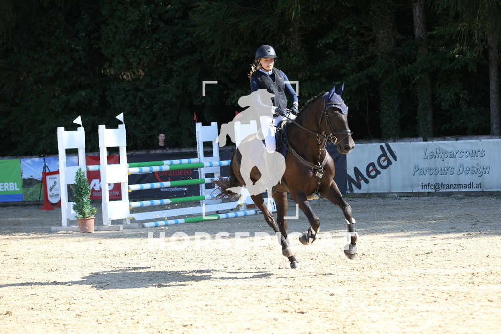 DL2Q0290 | Willkommen bei Brunnmayr - Design & Fotografie – Ihrem Spezialisten für Reitturniere und Pferdeveranstaltungen in Oberösterreich, Salzburg und Bayern! Seit über 17 Jahren sind wir leidenschaftlich dabei.