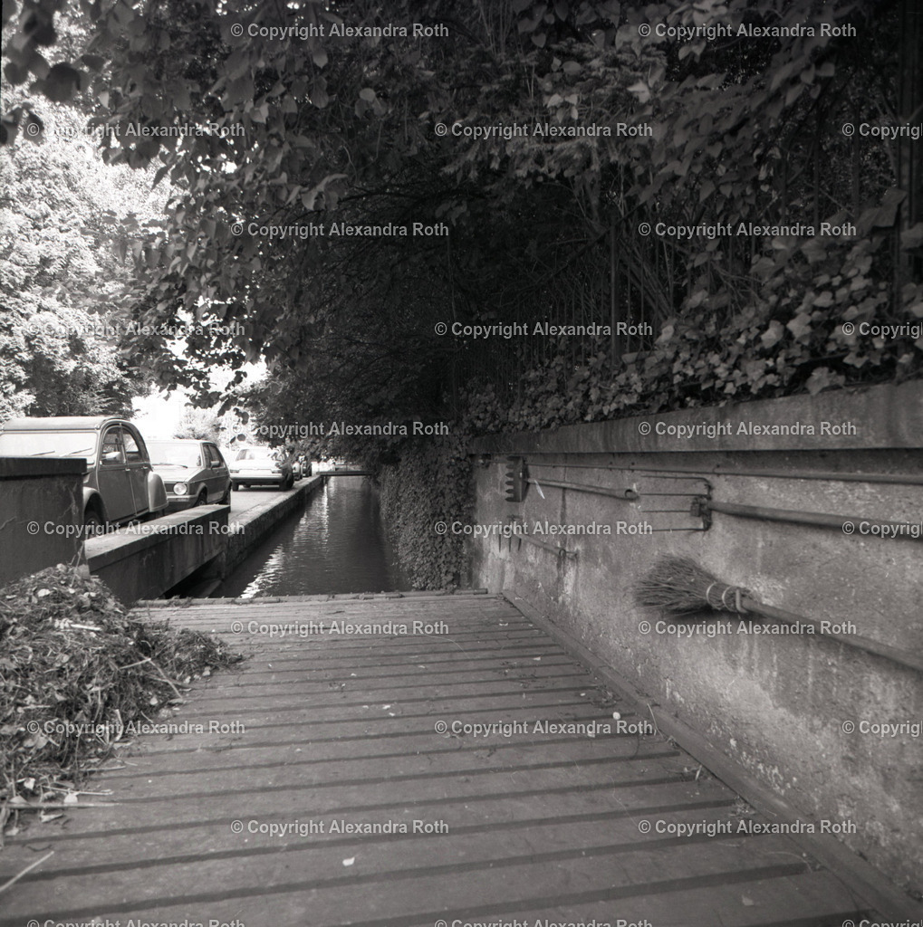 Aarau_0919 | onlineshop - Realisiert mit Pictrs.com