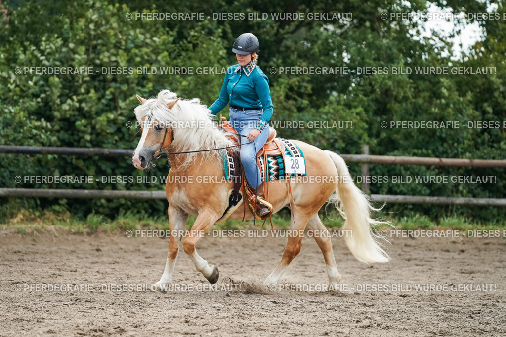 DSC04283 | Pferdegrafie