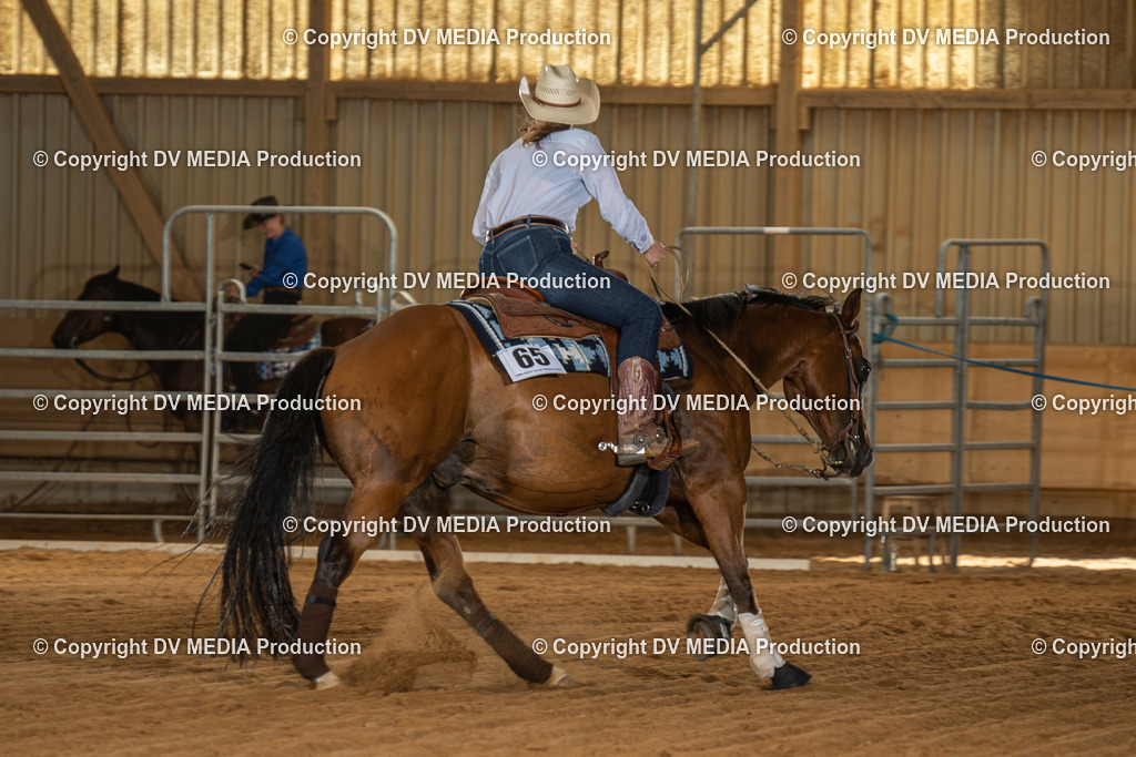 NID02140 | dv-media-shop - Realisiert mit Pictrs.com