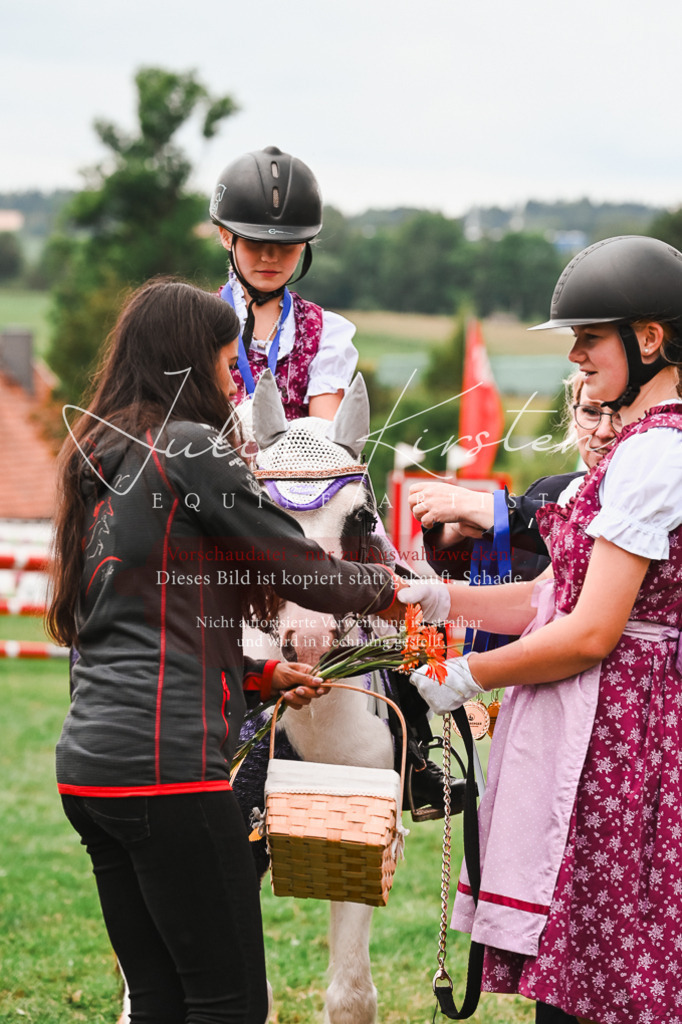 DSC_7477 | Pferde- und Turnierfotografie in Westsachsen. Pferdeportraits, Auftragszeichnungen und intuitive Kunst.