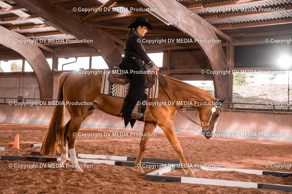 NE200155 | dv-media-shop - Realisiert mit Pictrs.com