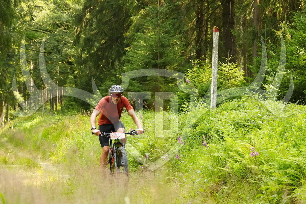FC103171 | Fotogalerie der Treibjagd im Dunkelwald - Dein MTB Etappenrennen im Erzgebirge - Realisiert mit Pictrs.com