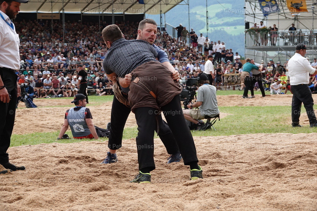 DSC01320 | Schwingen - Realisiert mit Pictrs.com