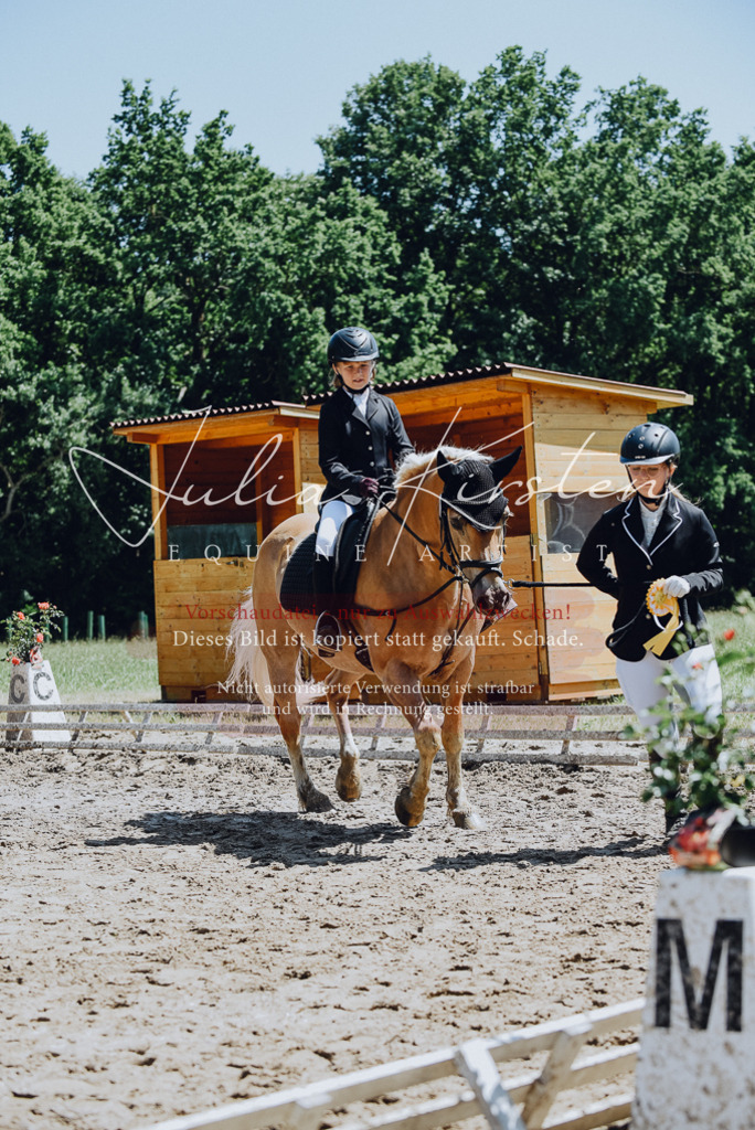 DSC_2351 | Pferde- und Turnierfotografie in Westsachsen. Pferdeportraits, Auftragszeichnungen und intuitive Kunst.