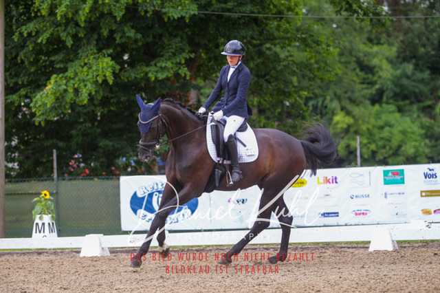 DKP41767 | Turniersportfotografie; Pferdefotografie; Dressurfotografie