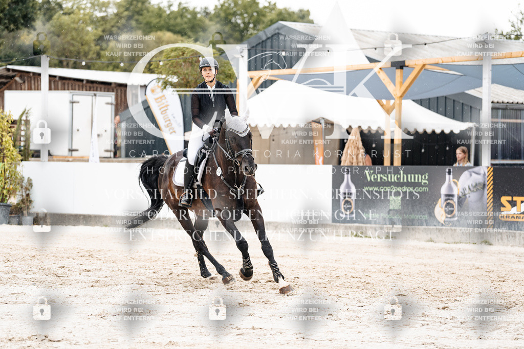 CK908629 | Turnierfotografie Pferdefotografie Trier Rheinland-Pfalz Pferdesport Reitsport Tierfotografie Sportfotografie Pferdevideo Pferdevideografie Equestrianvideography equestrianphotography  - Realisiert mit Pictrs.com