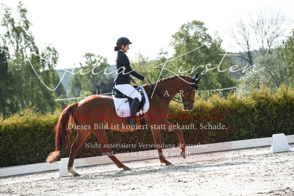 20230518_JK-Röhrsdorf-09-1200 | Pferde- und Turnierfotografie in Westsachsen. Pferdeportraits, Auftragszeichnungen und intuitive Kunst.