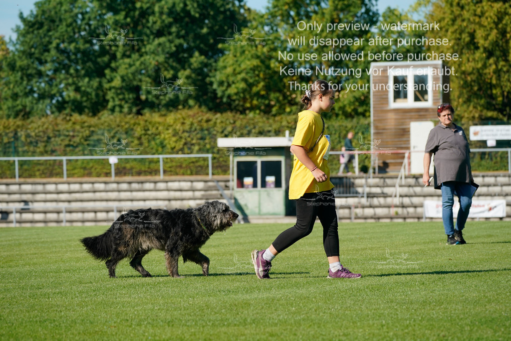 Samstag_Gehorsam_V2 (65) | stephaniefillaphotographie - Realisiert mit Pictrs.com