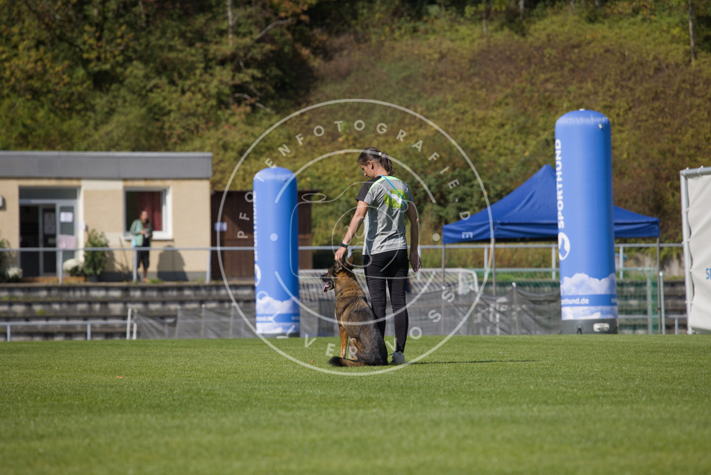 0L8A2554 | Hundefotografie, Tierfotograf, Pfotenfotografie, Fotoshooting Hund, Hunde Portrait, Hundesport, Hundeportraits, Heideshooting, Hunde, Sportfotograf, Hundefotograf, Turnierhundsport, THS,  - Realisiert mit Pictrs.com
