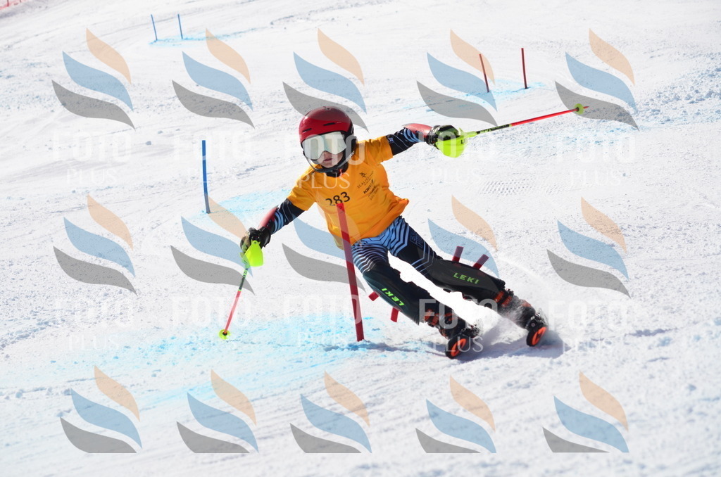 C8650 | holidayphoto