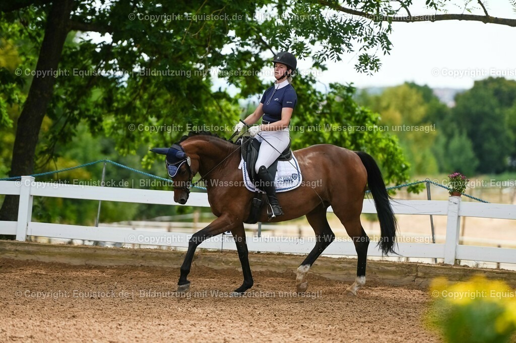 20230715_05_Dressurprüfung Kl.A++_0074 | equistock