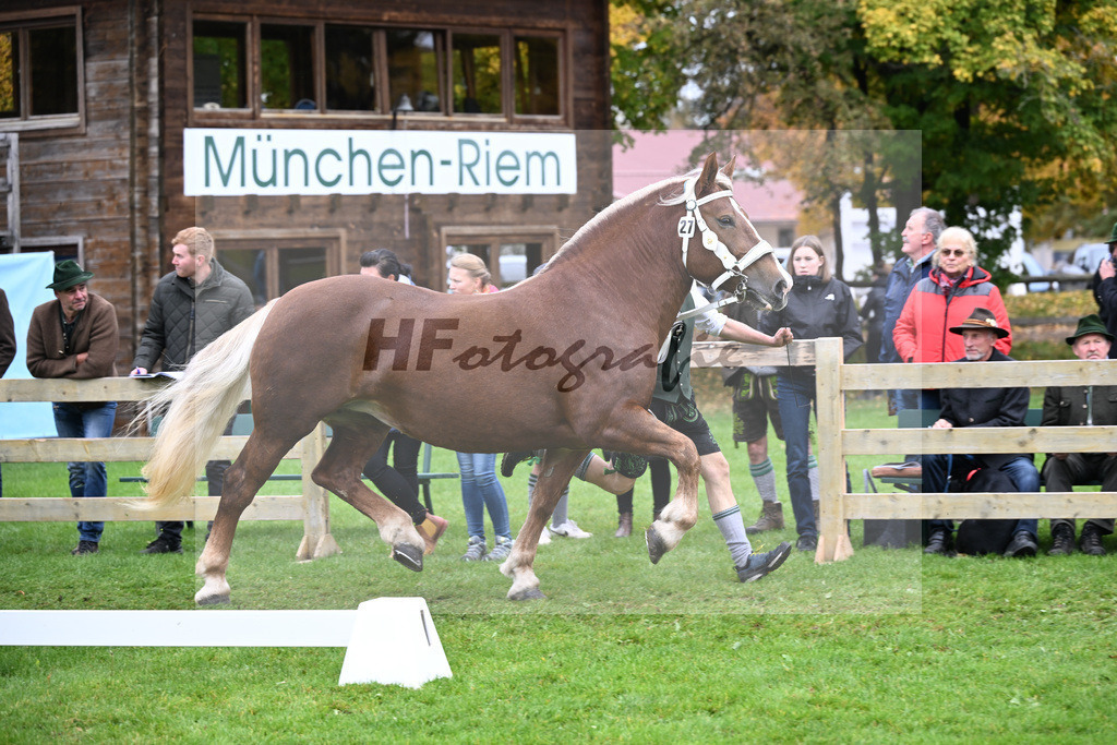 Kat-Nr. 27 Pannamera W v. Salieri S_Waldherr_41250685 | hf-fotografie - Realizzato con Pictrs.com