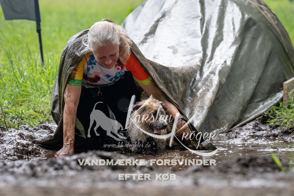 1116_ZZ92267 | kk-dogfotos